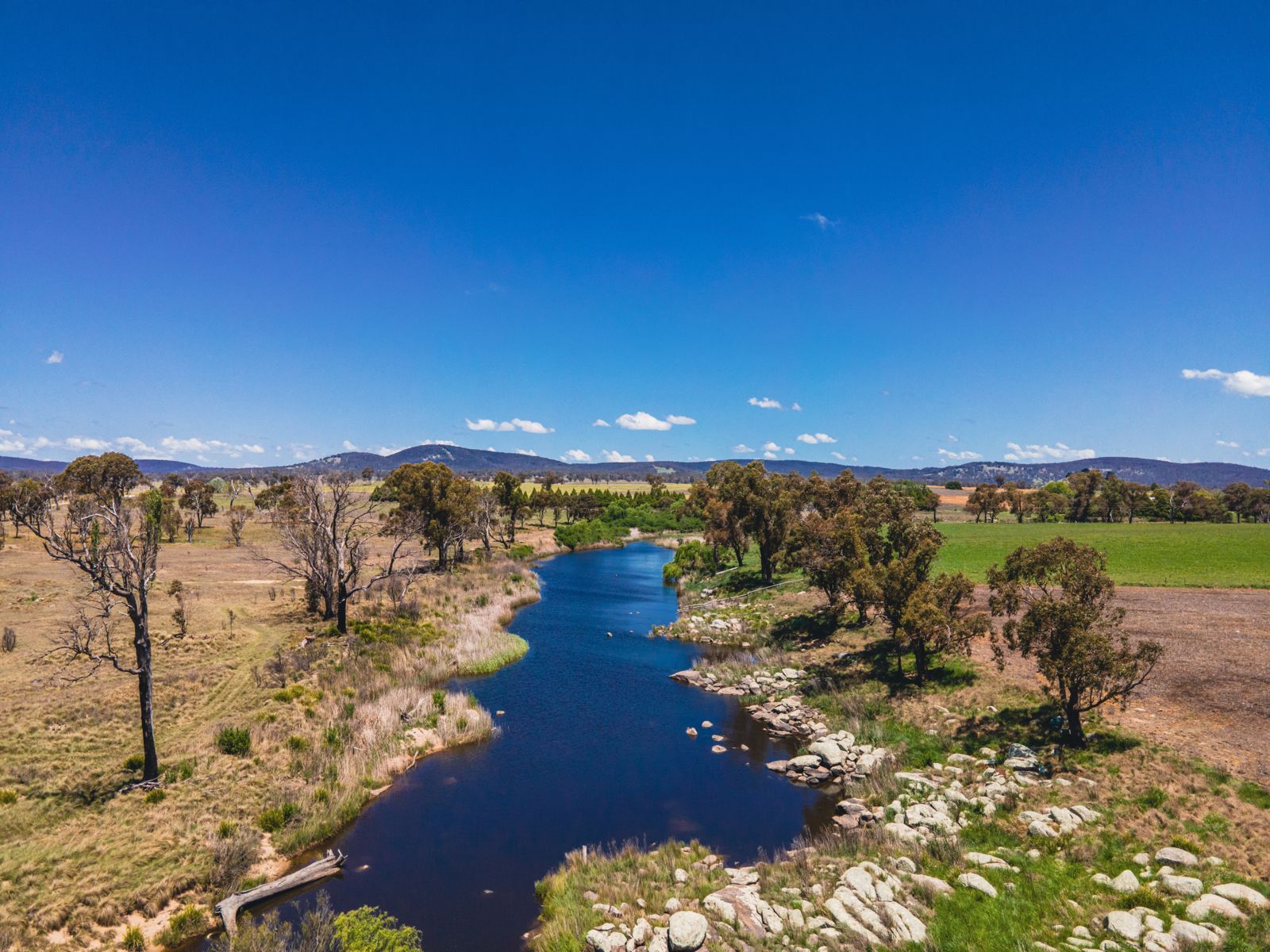 A creek lined with eucalypts on rural land
